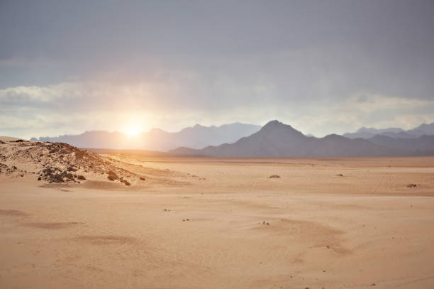 deserto do sinai - sparse sky sunlight africa - fotografias e filmes do acervo