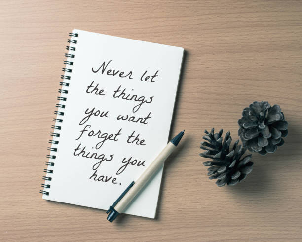 istock Inspirational quote on note book with pine cones on wooden table background 645631478