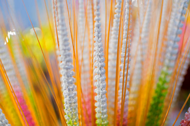 Artificial flowers made out of colored plastics, handicrafts on display during the Handicraft Fair in Kolkata , earlier Calcutta, West Bengal, India. It is the biggest handicrafts fair in Asia.