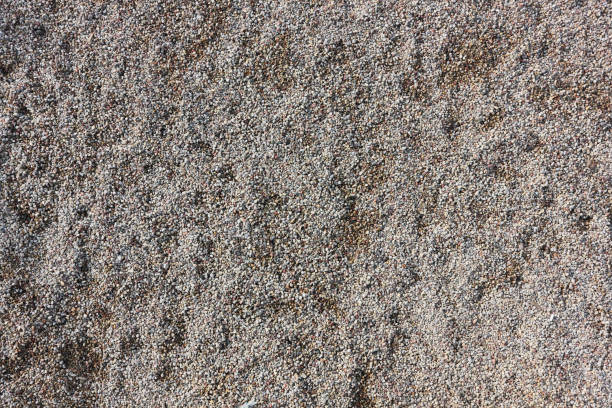 istock Small roundish pure river pebble top view background 645636938