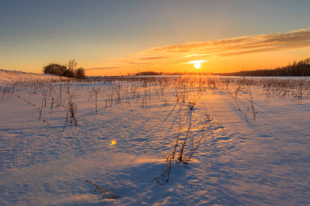 istock Beautiful sunset with ice covered grass at winter season. 645641078