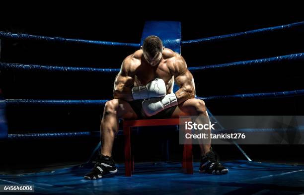 Boxer On Boxing Ring Tired Timeout Stock Photo - Download Image Now ...