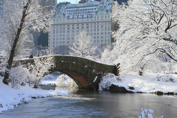 istock Bridge over frozen pond in Central Park, NYC 645646036