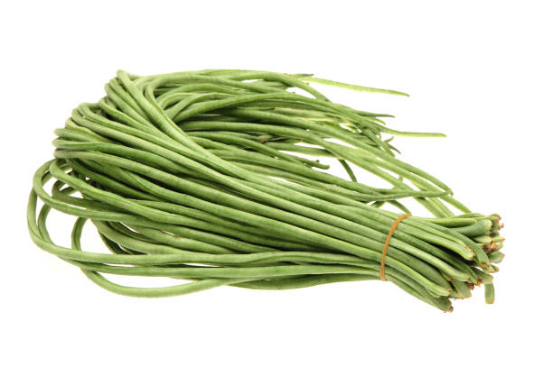 istock Yardlong beans ，cowpea  on white background 645655706