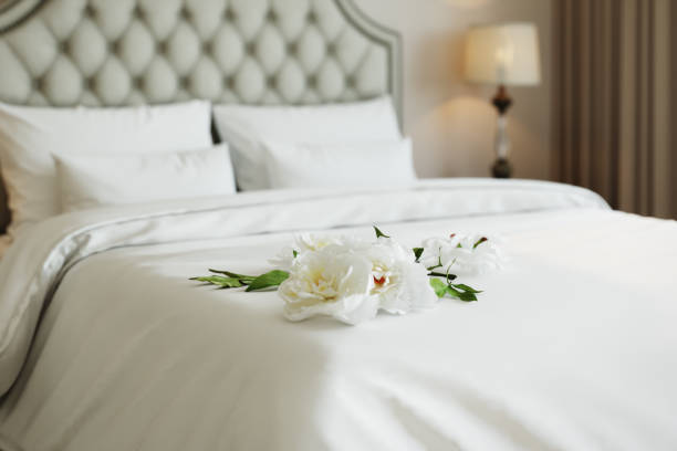 istock White peony on a bed in beige badroom 645659306