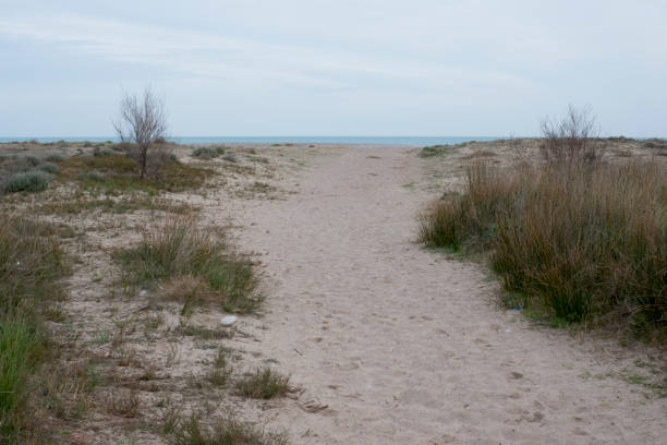 istock On a beach near Sagunto in Valencia 645663910