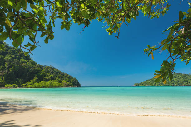 istock Wonderful exotic beach located Surin Island, Thailand 645667270