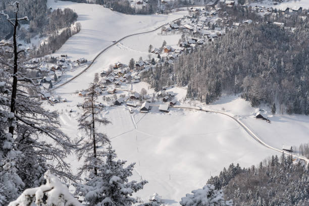 istock Small city in winter in mountains 645674876