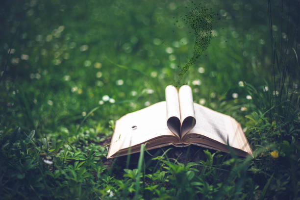 istock Close up heart shape from paper book on grass field 645678082