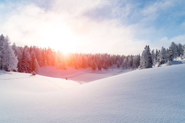 istock Beautiful sunset above the forest 645678102