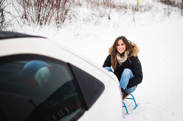 istock Beautiful brunette in a sleigh 645681664