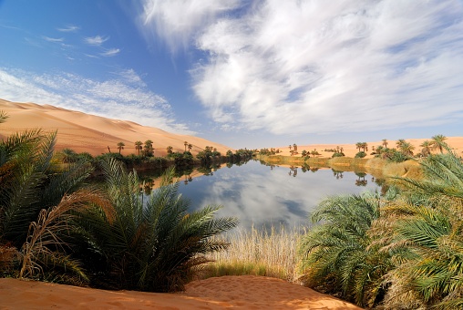 Ubari Oasis, Fezzan, Libya