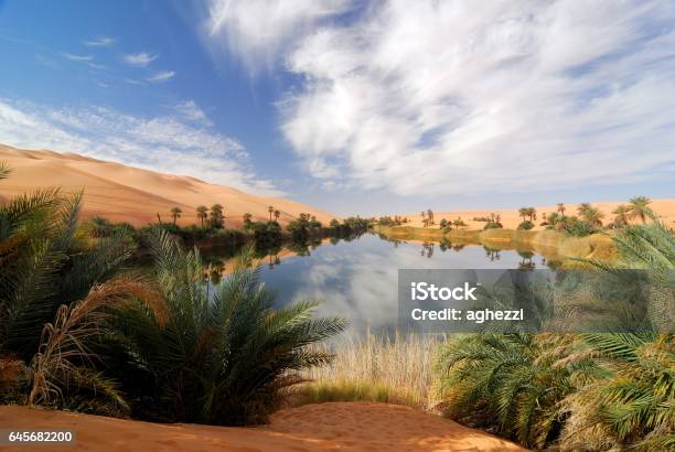 Ubari Oasis Fezzan Libya Stock Photo - Download Image Now - Desert Oasis, Desert Area, Water