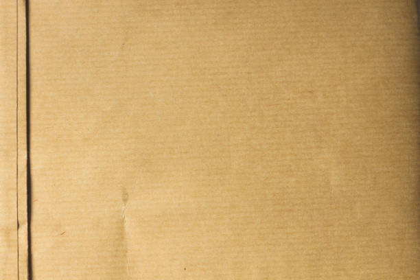 istock kraft paper with fringe 645683482