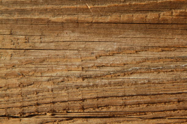 Antique looking Wood texture