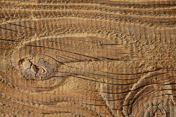 istock Wooden Texture in antique look 645686418