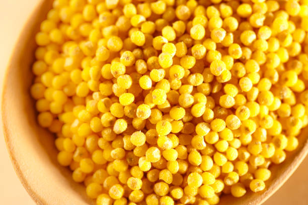 istock Millet groats with wooden spoon 645693182