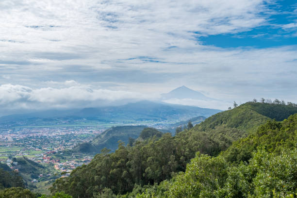 istock View from mountain - forest landscape , village in valley 645693386