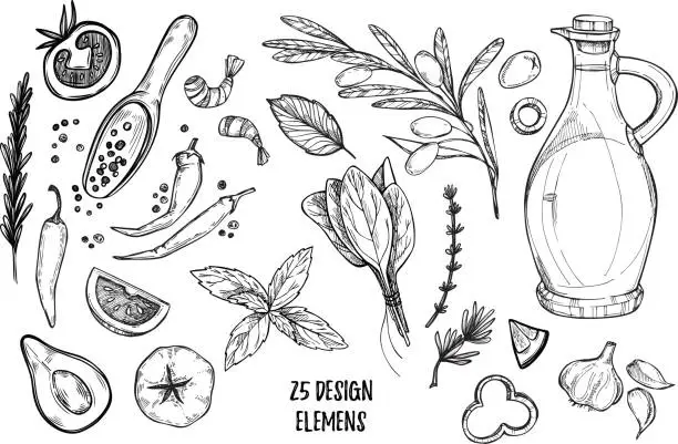 Vector illustration of Hand drawn vector illustrations - Ingredients of pizza. Olive oil, olives, shrimps, tomato, basil, rosemary, pepper etc. Perfect for menu, cards, blogs, banners. Illustration in sketch style