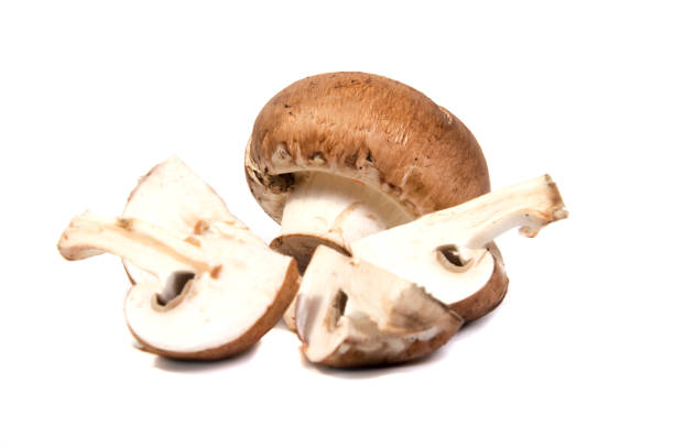 istock Set Champignon mushroom isolated on white background. 645693736