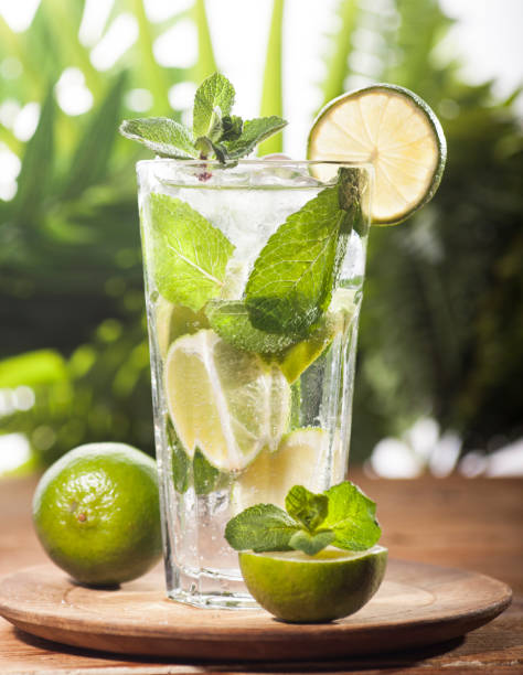 istock Mojito cocktail on tropical background 645693966