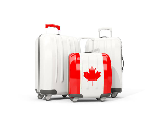 istock Luggage with flag of canada. Three bags isolated on white 645701930