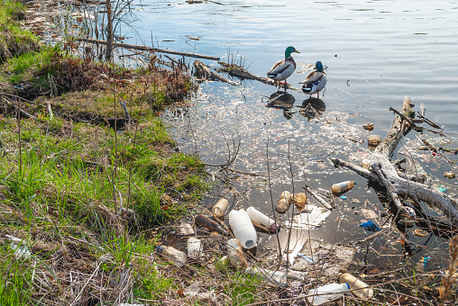 Shore of a freshwater lake polluted with plastic bottles and construction waste.