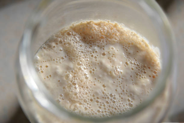Bread Natural yeast sourdough starter culture used to raise doughs when making sourdough bread. yeast starter stock pictures, royalty-free photos & images