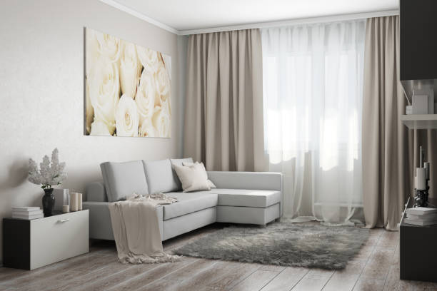 istock Livingroom in light colors 645705254