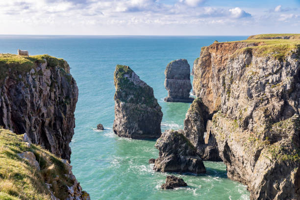 istock Pembrokeshire Coast, Wales, UK 645712476