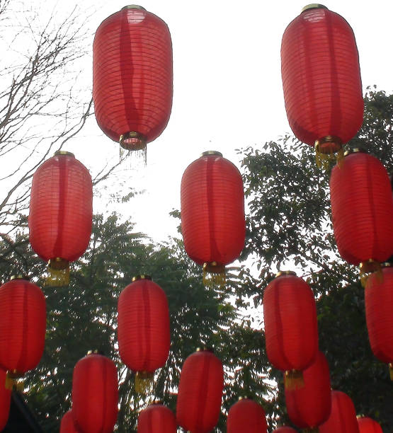 istock Looking At Chinese Lantern At Sichuan Province.China 645716264