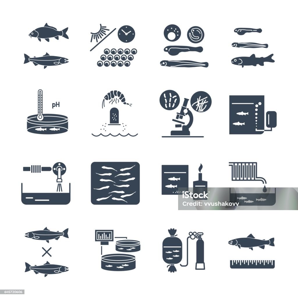 set of black icons aquaculture, fish farming set of black icons aquaculture production process, fish farming Aquaculture stock vector