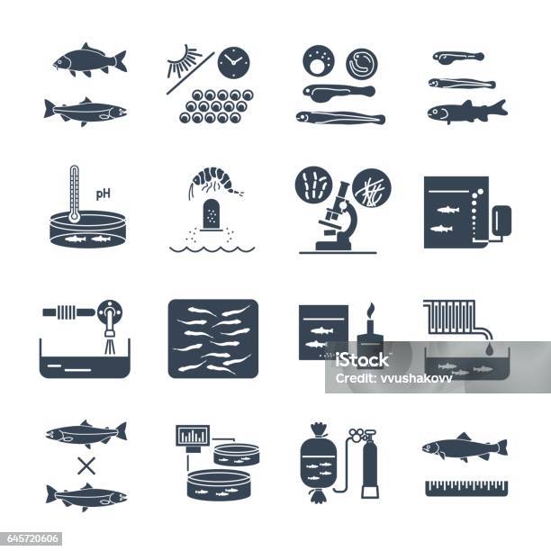Set Of Black Icons Aquaculture Fish Farming Stock Illustration - Download Image Now - Aquaculture, Salmon - Seafood, Hatchery