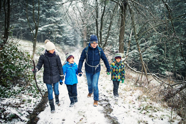 istock Father with kids hiking in beautiful winter forest 645723230