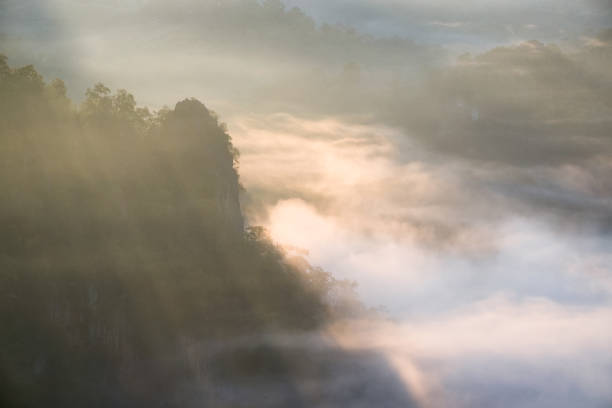 istock Scenic foggy valley at sunrise 645724942