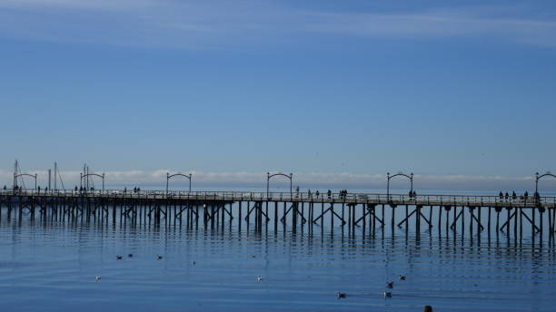 istock Long Pier - City of White Rock 645729126