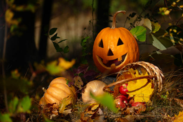 istock Halloween Pumpkin in the forest on a dark background. 645729164