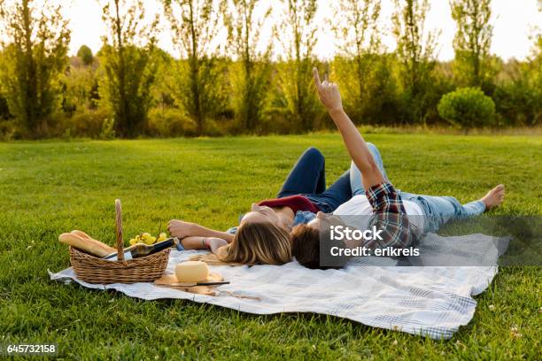 Enjoying The Summer Stock Photo - Download Image Now - Picnic, Couple - Relationship, Grass
