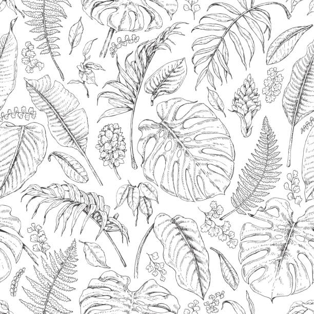 Seamless Pattern with Tropical Plants Hand drawn branches and leaves of tropical plants.Monochrome seamless pattern with different tropical leaves and flowers. val stock illustrations