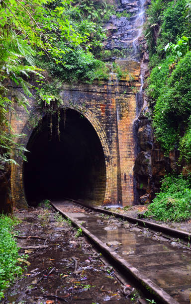 istock Abandoned historic railway tunnel 645737626