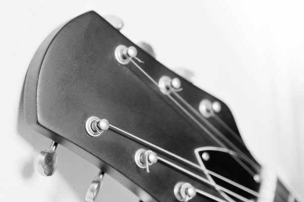 istock Semi acoustic guitar machine head 645737900