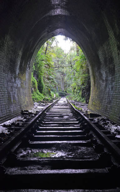 istock Abandoned historic railway tunnel 645737950