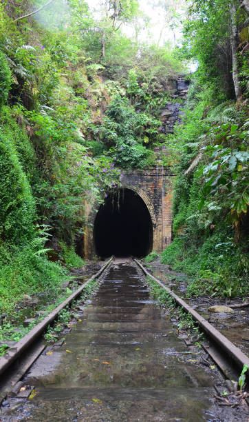 istock Abandoned historic railway tunnel 645738084