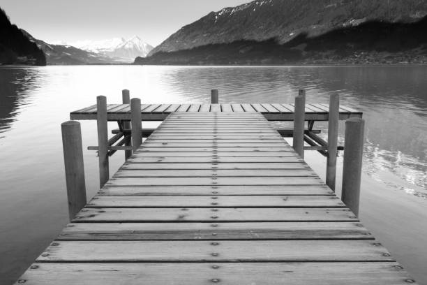 istock Footbridge at a lake 645738660