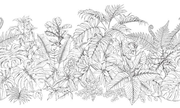Seamless Line Pattern with Tropical Plants Hand drawn branches and leaves of tropical plants.Monochrome line horizontal seamless pattern with palm, monstera, fern, ficus. tropical tree stock illustrations