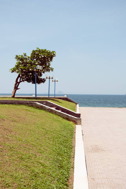 istock Spacious seafront inside city with lawn and lanterns 645745628