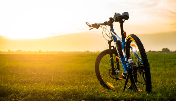 istock Mountain bike in the morning 645752268