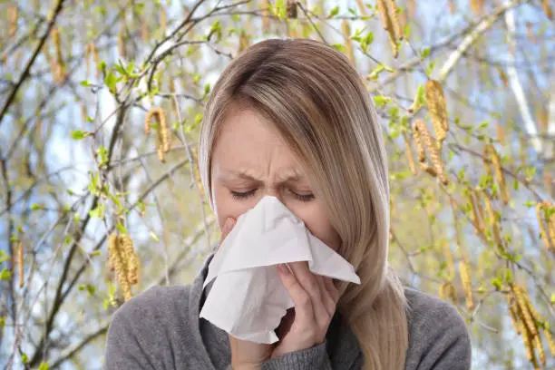 Pollen allergy, Springtime. Woman sneezing in a tissue