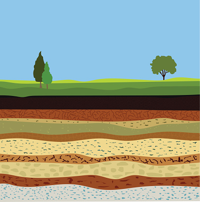 soil formation and soil horizons, underground layers of earth, landscape with sky and trees, the geological structure of the earth
