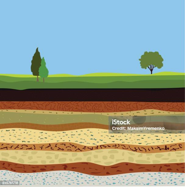 Soil Formation And Soil Horizons Stock Illustration - Download Image Now - Layered, Geology, Dirt